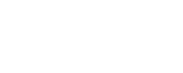 It is logo image on sheenaura site.