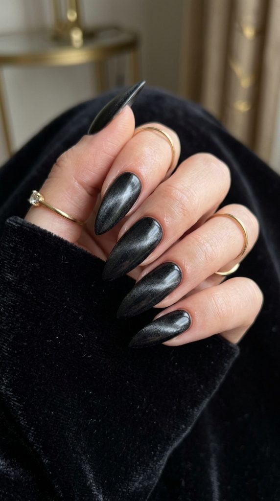 Black velvet magnetic stiletto nails